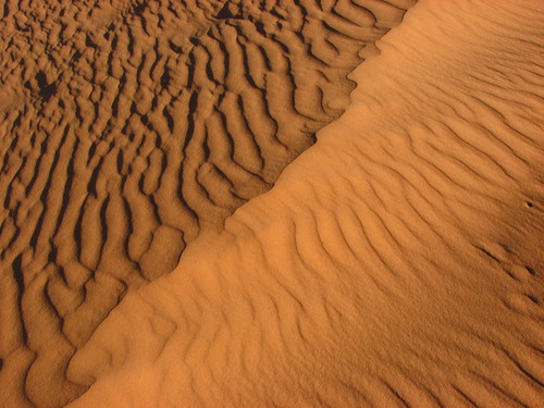 Sand Dunes 066 | by Chandler West