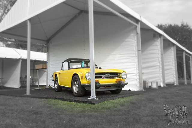 Lonely TR6 at Amelia Island 2015