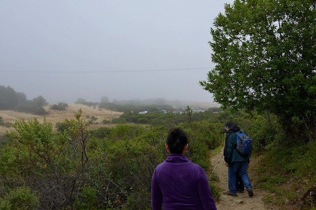 Hike at Los Trancos OSP