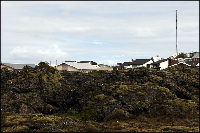 lava-fields, hafnarfjördur DSC_8987