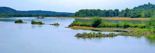 sunset colour green nature water ferry river landscape spurs sand poland polska natura prom zielony woda wisła vistula kolor rzeka piasek krajobraz zmierzch nasiłów ostroga