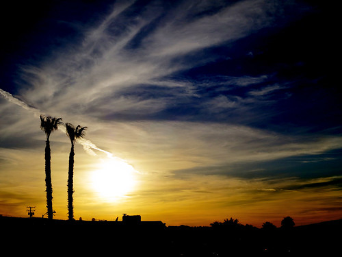 california sunset sky usa tree palm barstow