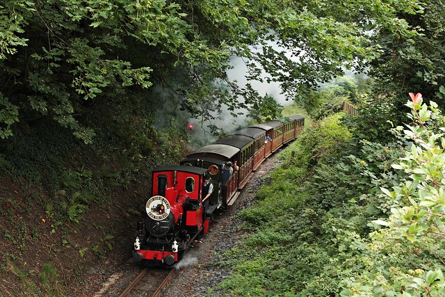 'Race the Train', Talyllyn Railway 2013