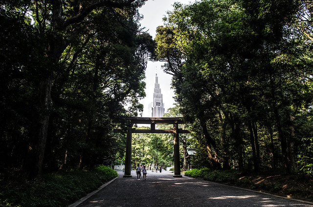Tori Entrance to Meiji Shrine