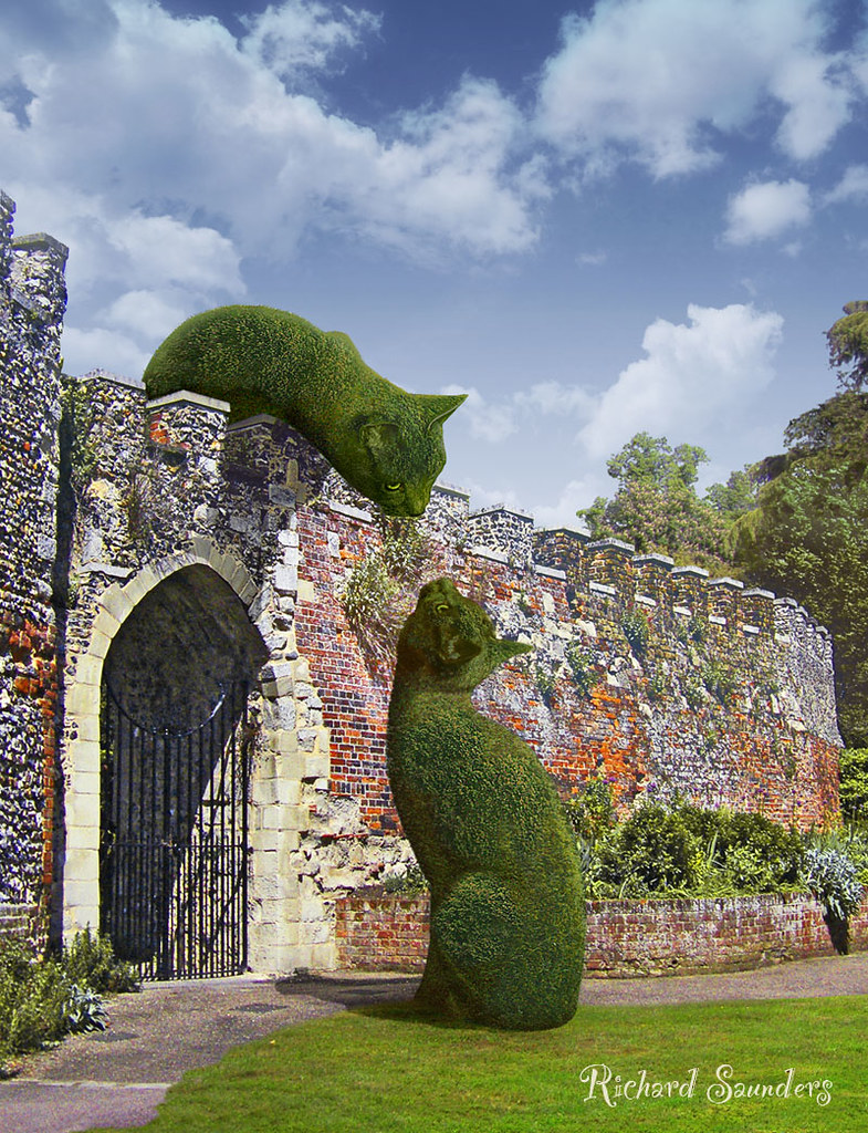 The Topiary Cats' meeting