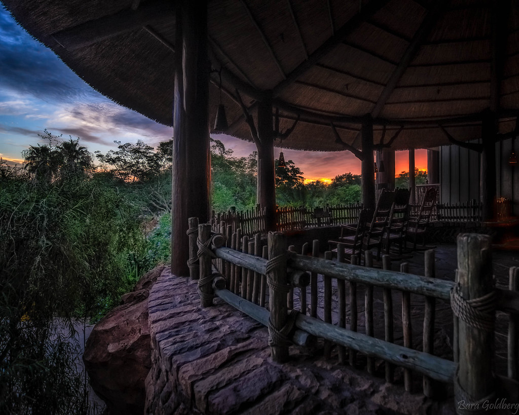 sunrise safari animal kingdom lodge