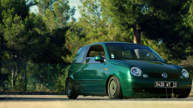 Lupo lowered