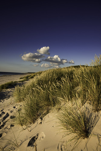 denmark dänemark danmark strand beach dünen dunes dünengras sommer summer sunny sun sonne wolke himmel nikon d810 odsherred roervig