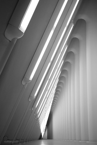 Ed Kiley Arches | Ed Kiley Photography - Pic du Jour blog | Ed Kiley | Flickr