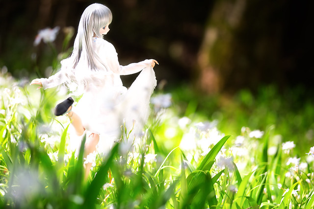 White shining flower