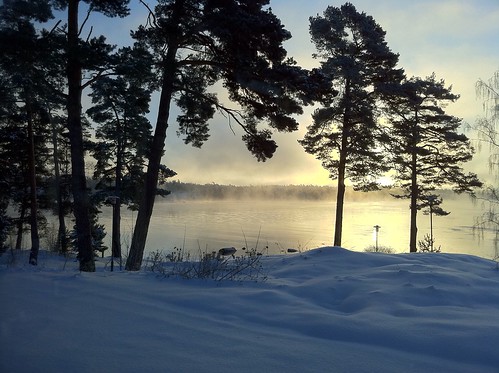 countryside nynäshamn sunrise ice morning lake mist snow winter sverige sweden nynashavsbadhotelnynashamn nofilter 2010 vinter outdoors swedishcountryside