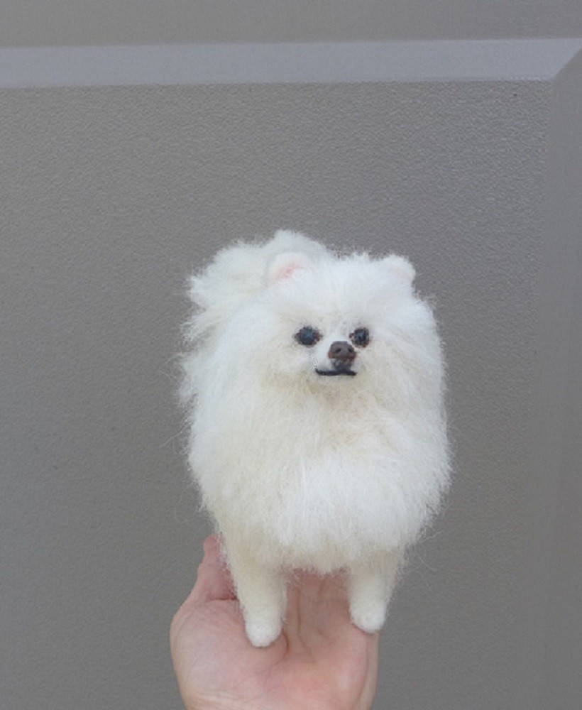 DIY Needle Felting Kit with Gift Box Faceless Dog Truslin White Pomeranian