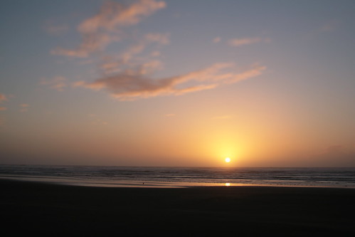 oregon autumn fall beach sand onabeach sealrock ocean pacificocean surf bird gull sun sunset