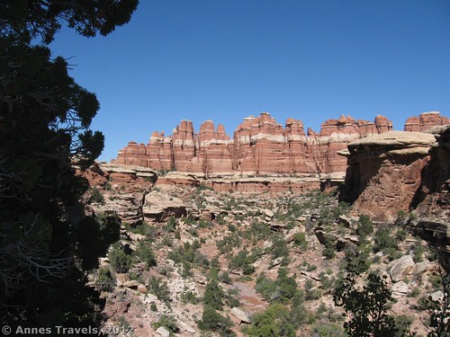 Spires along the cutoff trail between the Druid Arch Trail and Chesler Park in Canyonlands National Park, Utah