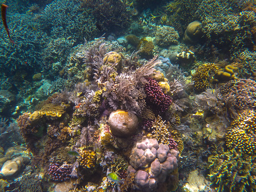 Bunaken, Indonesia