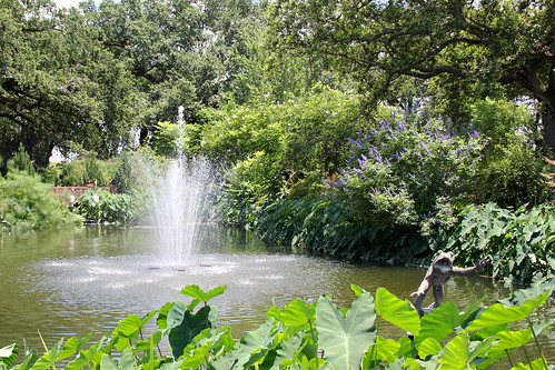 travel fountain pond