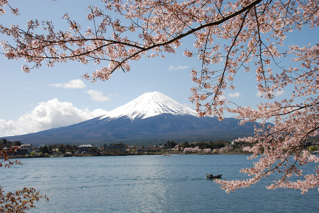 富士山の四季 春/The four seasons of Mt. Fuji Spring | 桜 (山梨 河口湖) Ch… | Flickr