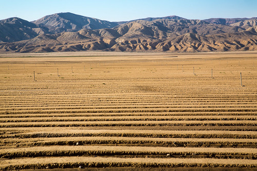 california field us unitedstates dirt furrow maricopa cuyamavalley
