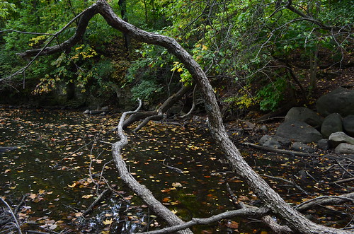 autumn columbus ohio fall river legacy scioto exoticimage