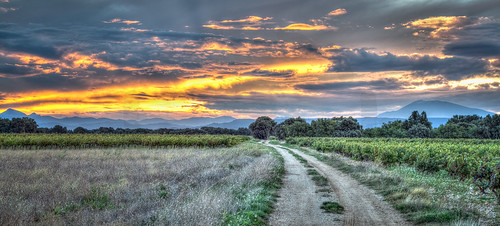 hdr landscape mtventoux panorama techniques day goldenhour grapeyard montsetvallees plants sunrise vignes vaucluse france