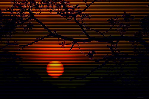 Blinds by Caroline.32, In the evening, I keep glancing out the window to see what kind of sunset we are going to have.
So I