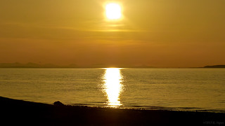 Yellow Sunset at Birch Bay