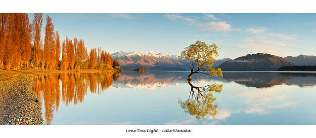 Lake wanaka sunrise lone tree