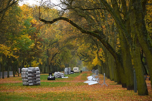 park alley avenue trees mess autumn fall parknazdrowiu łódź lodz polska poland colours path