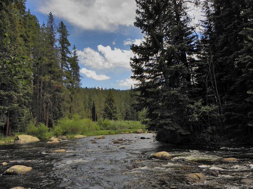 The Frying Pan River | OLYMPUS DIGITAL CAMERA | Carolyn Cuskey | Flickr