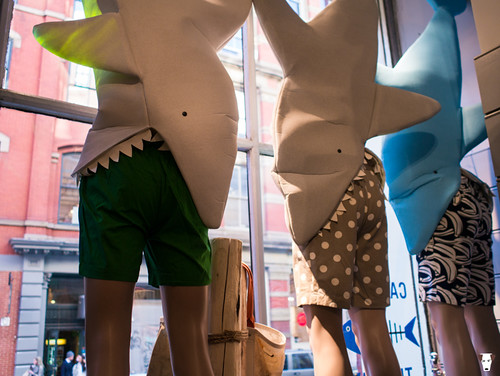 sharkattack | by chucksdiary