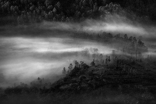 blackandwhite bw bali mist nature monochrome misty fog forest indonesia landscape nikon asia sigma jungle tele gunung f28 bnw mystic hutan batur 70200mm kintamani d810 pinggan