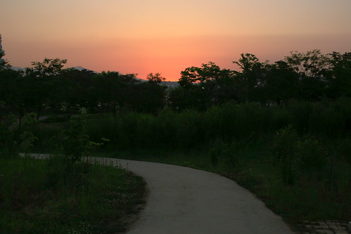 park sunset night way landscape lucas clear cannon 동형