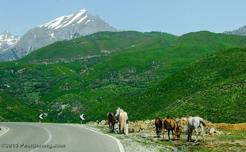 mountain mountains landscape al albania republicofalbania albanianalps d7000 shqipërishqipëria pauldiming qarkuikukësit rrugaazemhajdari