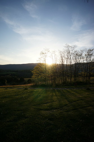 Sunset by ikewinski, Dandelions like constellations below.