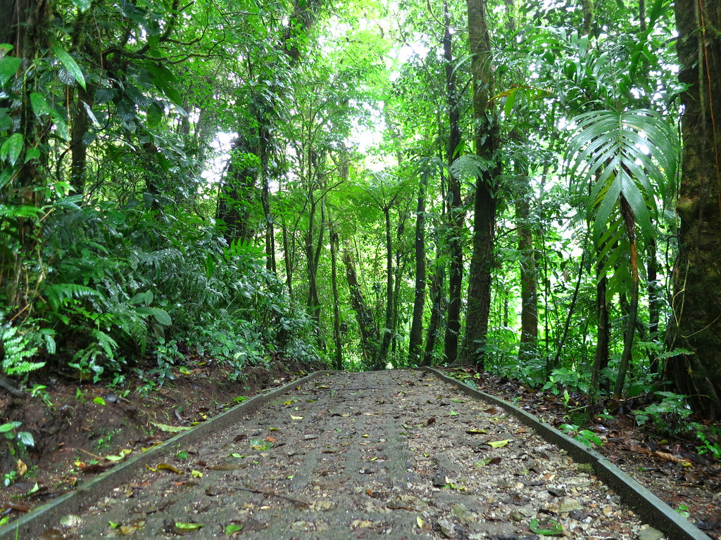Costa Rica, 2013