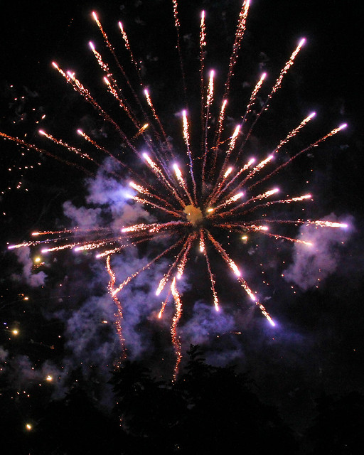 Blue Aster Fireworks