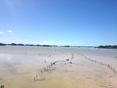 Laguna Rosada Techac Puerto Yucatan