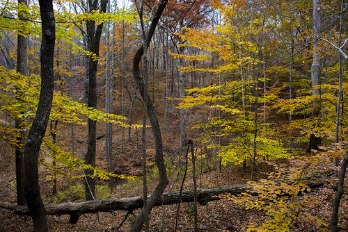 suwanee georgia autumn fall colors esmithiii2003 esmithiii gwinnett county gwinnettcounty gwinnettenvironmentalandheritagecenter