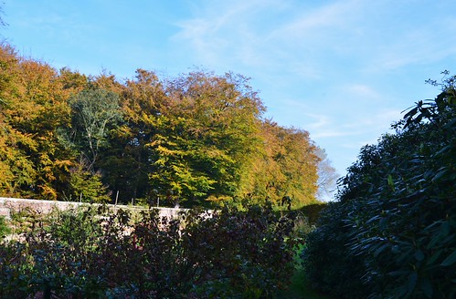 Automne-Parc de Mesnil Geoffroy | by isamiga76