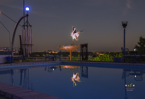 theblueheron restaurant dining food artwork art statue metal lakeoftheozarks water sky nest lakeozark camdencounty missouri mo ozarks stevefrazierphotography