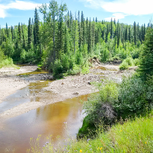 Big Mountain Creek PRA - Group Camp View