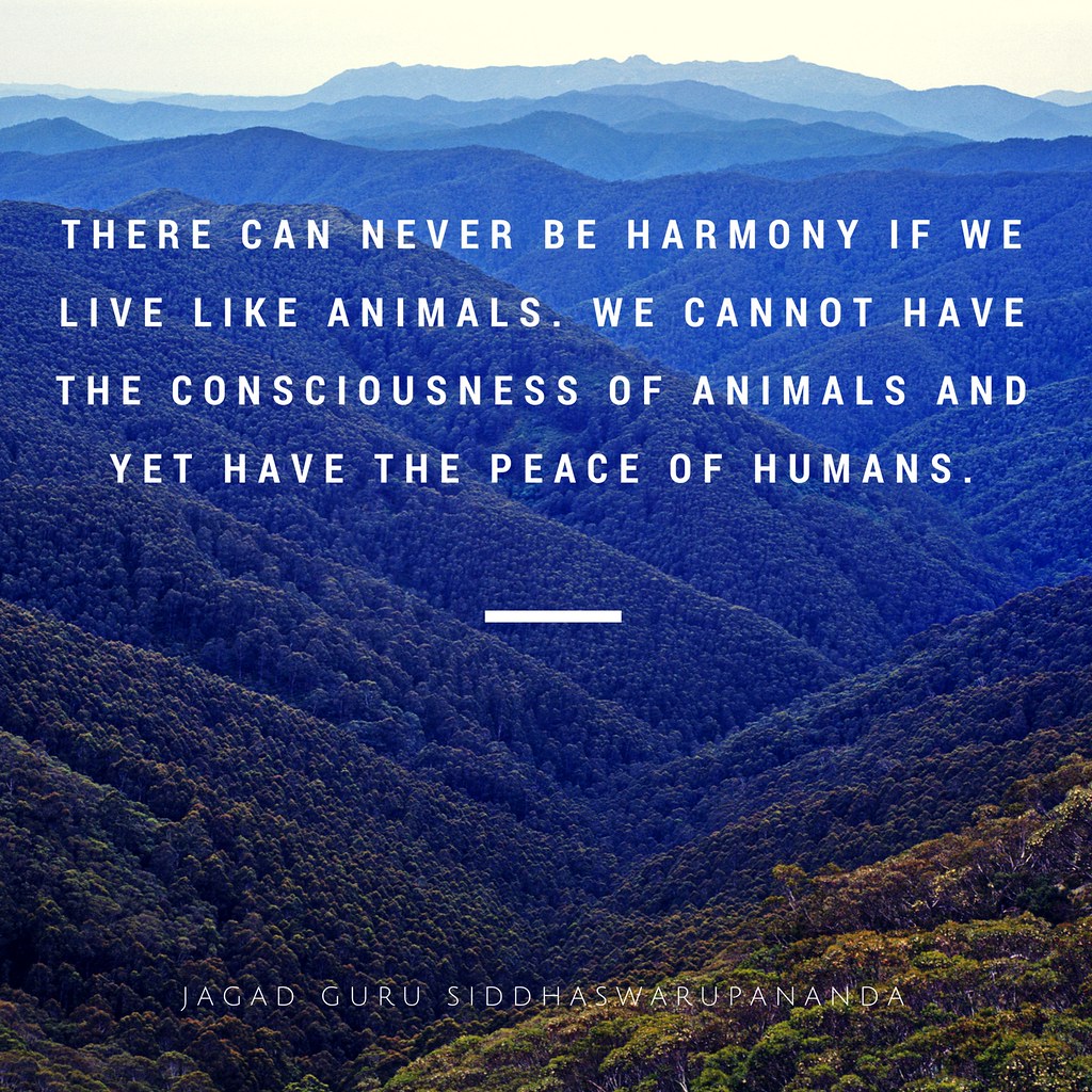 Quotes from Jagad Guru Siddhaswarupananda on harmony | Flickr