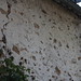 sam, 01/06/2013 - 18:38 - IMG_1018