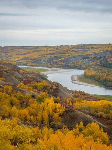 Dunvegan West WPP - Autumn