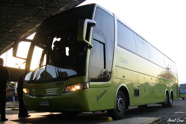 Amanecer en el Terminal | Sunrise in the Terminal | Tur Bus / Busscar Jum Buss 380 / WX5442