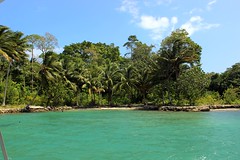 IMG_3274 Ghavutu Island Solomon Islands