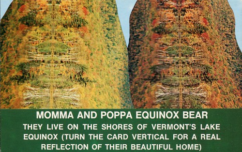 momma & Poppa Equinox Bear, Illusion Postcard, Vermont | by SwellMap