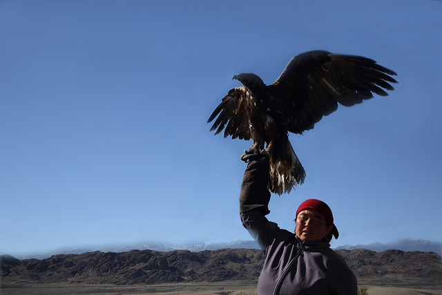 Falconry in Tartary--Uyghur Autonomous Region , China