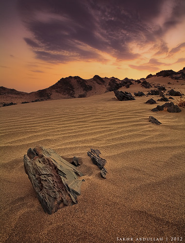 Melody of The Desert by Sakhr Abdullah