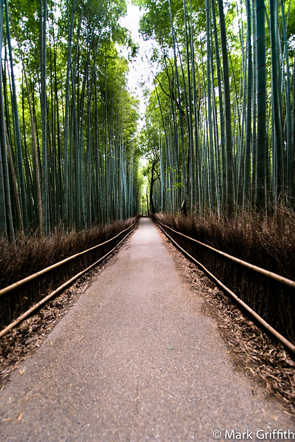 Arashiyama Bamboo Walk